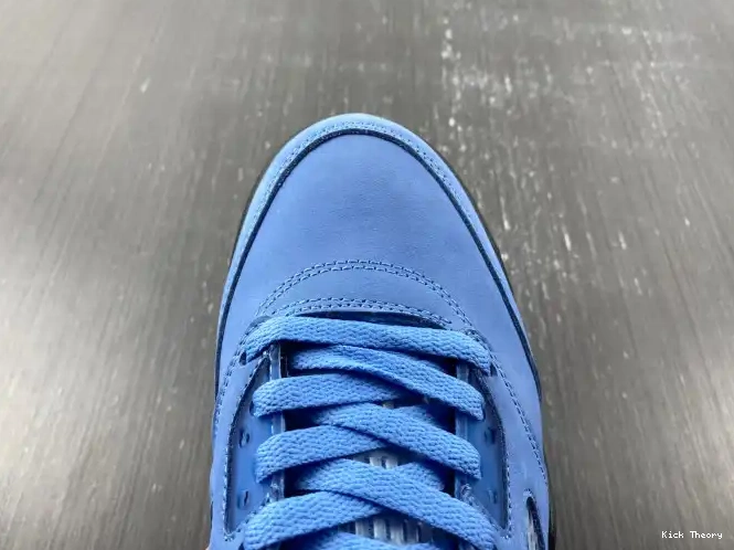 Kicktheory Air UNC 5 Jordan DV1310-401 0530